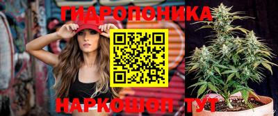 PSILOCYBIN Сланцы